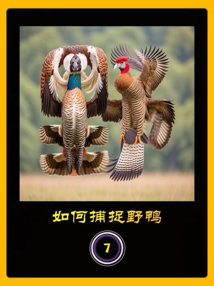 这是28年前外公抓野鸭的绝妙方法，每天能抓十几只