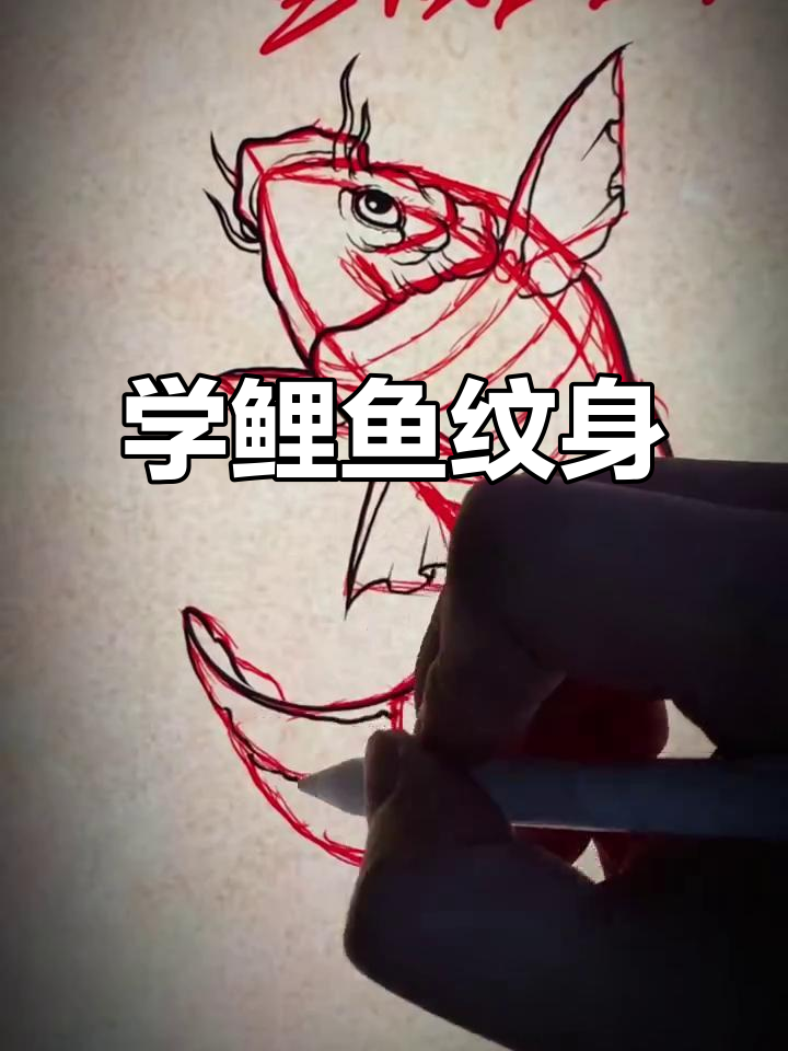 零基础学鲤鱼画法，掌握纹身技巧