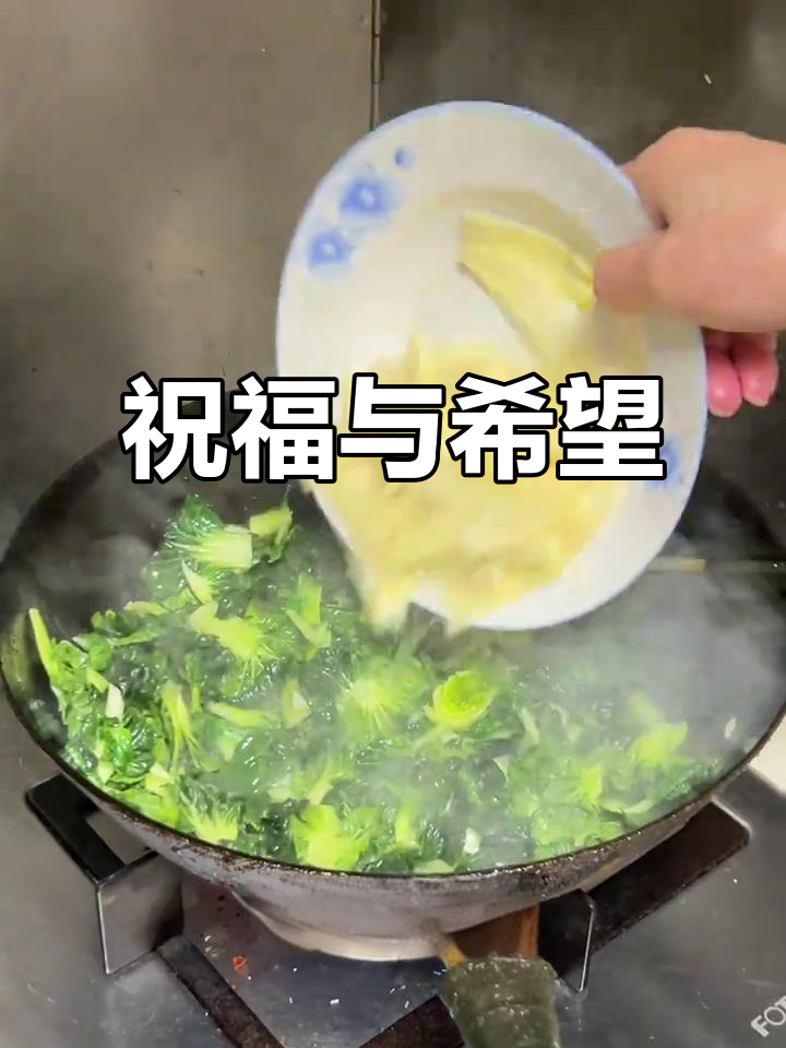 上海塔苦菜,寓意2026年幸福无忧