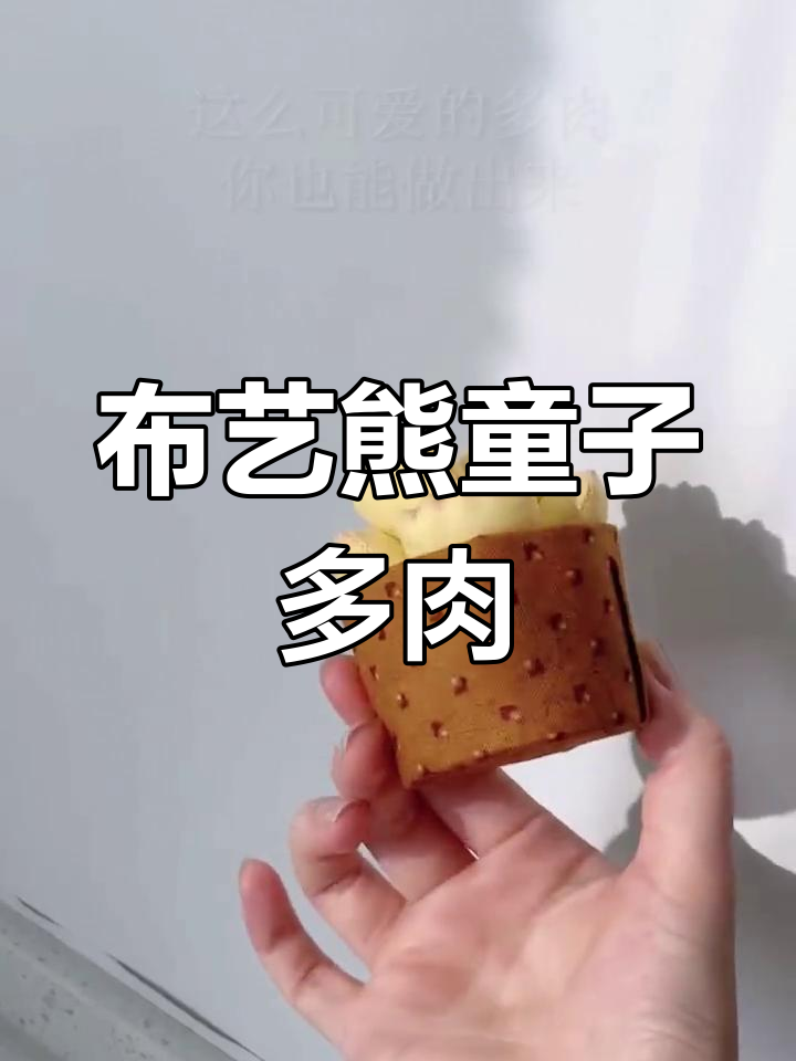 手工布艺熊童子多肉,萌态十足让人爱不释手