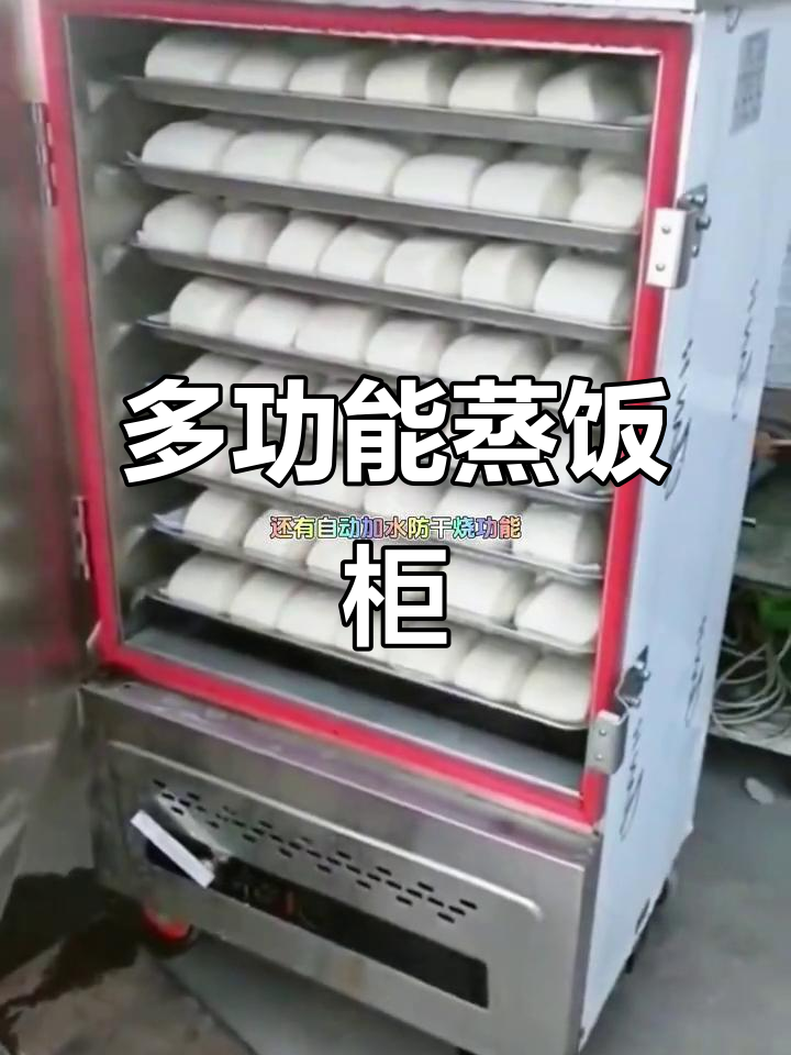 商用蒸饭柜,多功能厨房设备,适合食堂馒头包子等烹饪需求