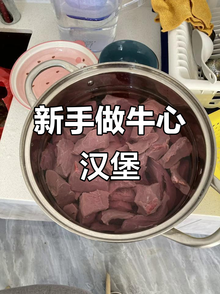 七彩神仙鱼新手养,牛心汉堡制作大揭秘