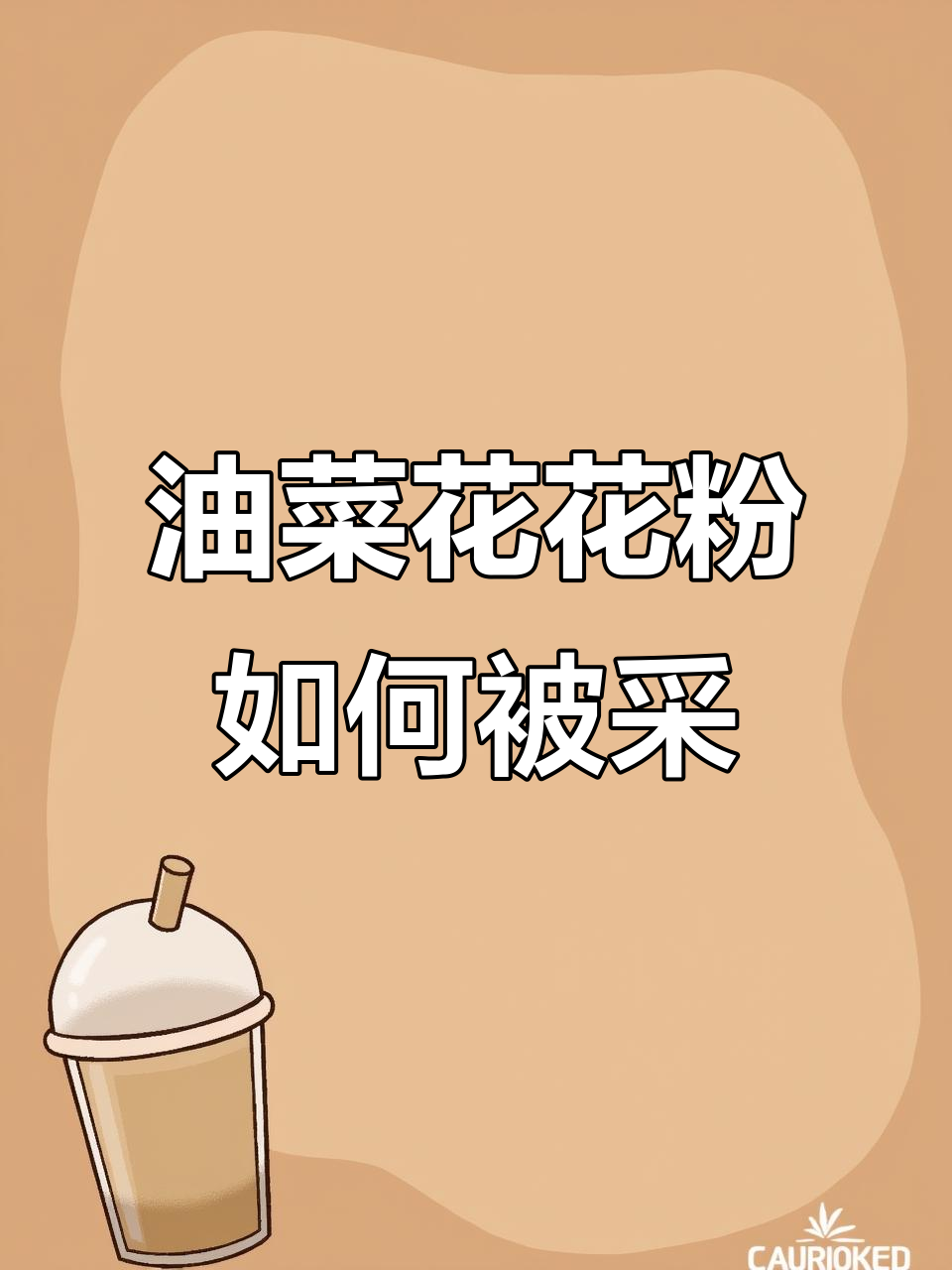 蜜蜂如何在油菜花中采集花粉，一粒粒的辛苦与回报