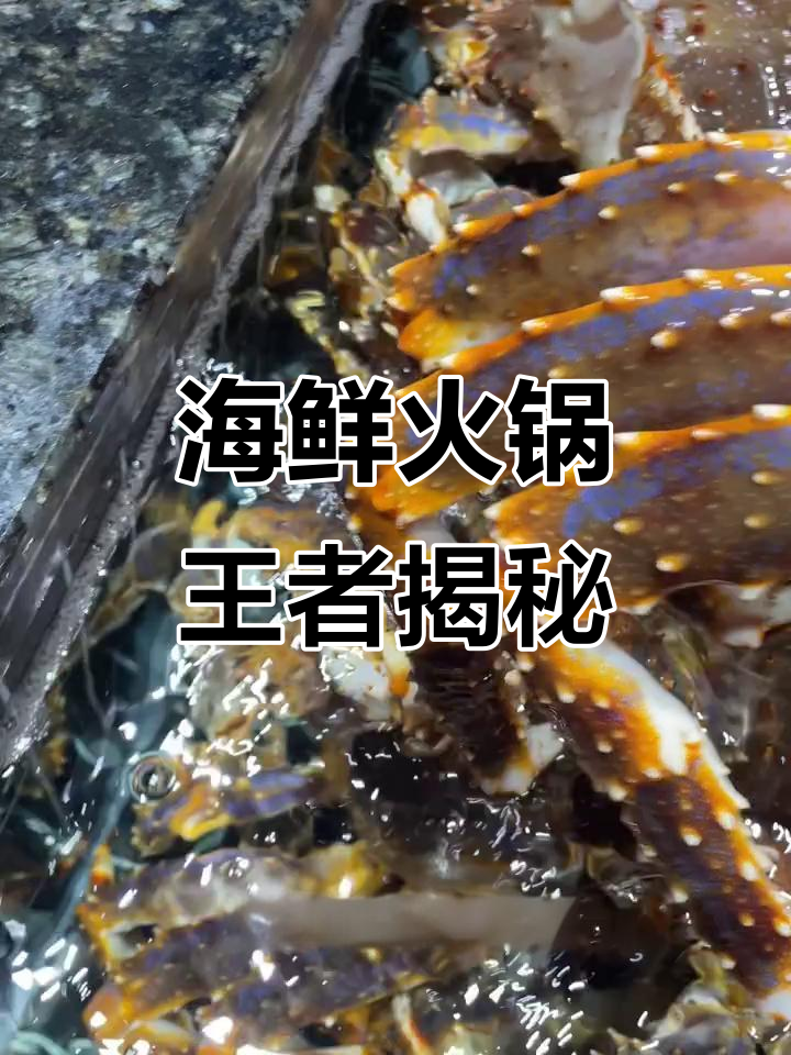 探秘海鲜火锅天花板,帝王蟹、珍宝蟹一网打尽