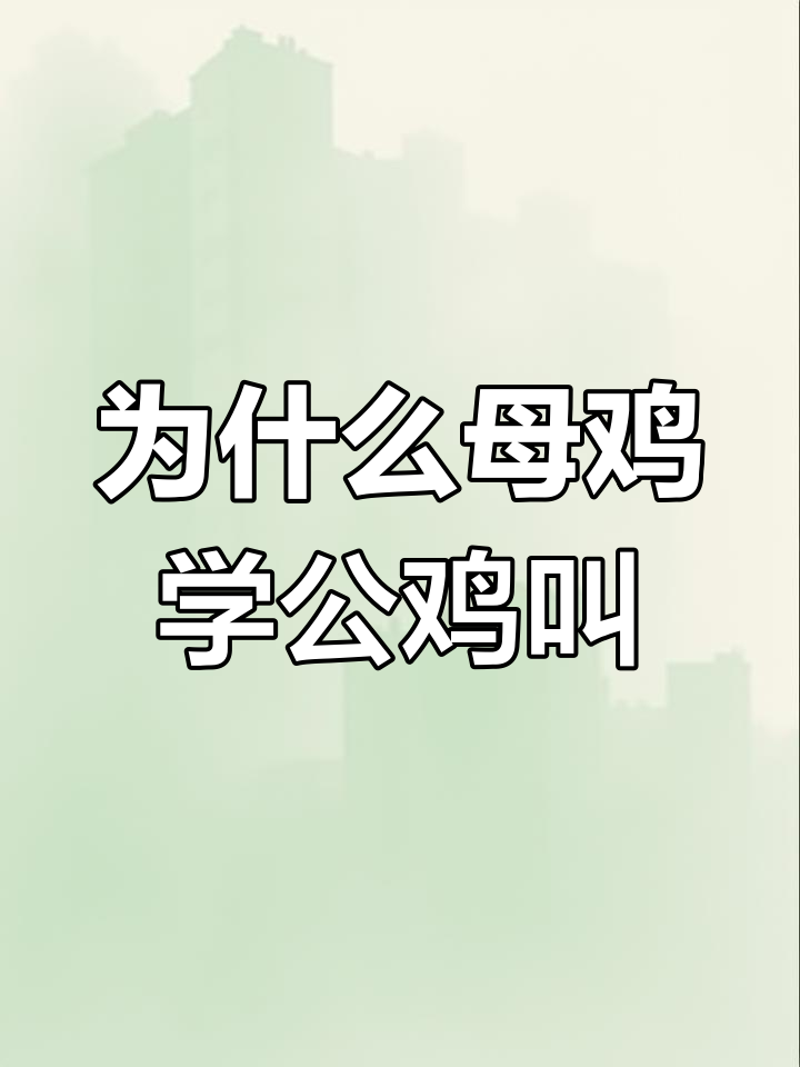 母鸡打鸣背后的秘密:为何有些母鸡模仿公鸡叫声?