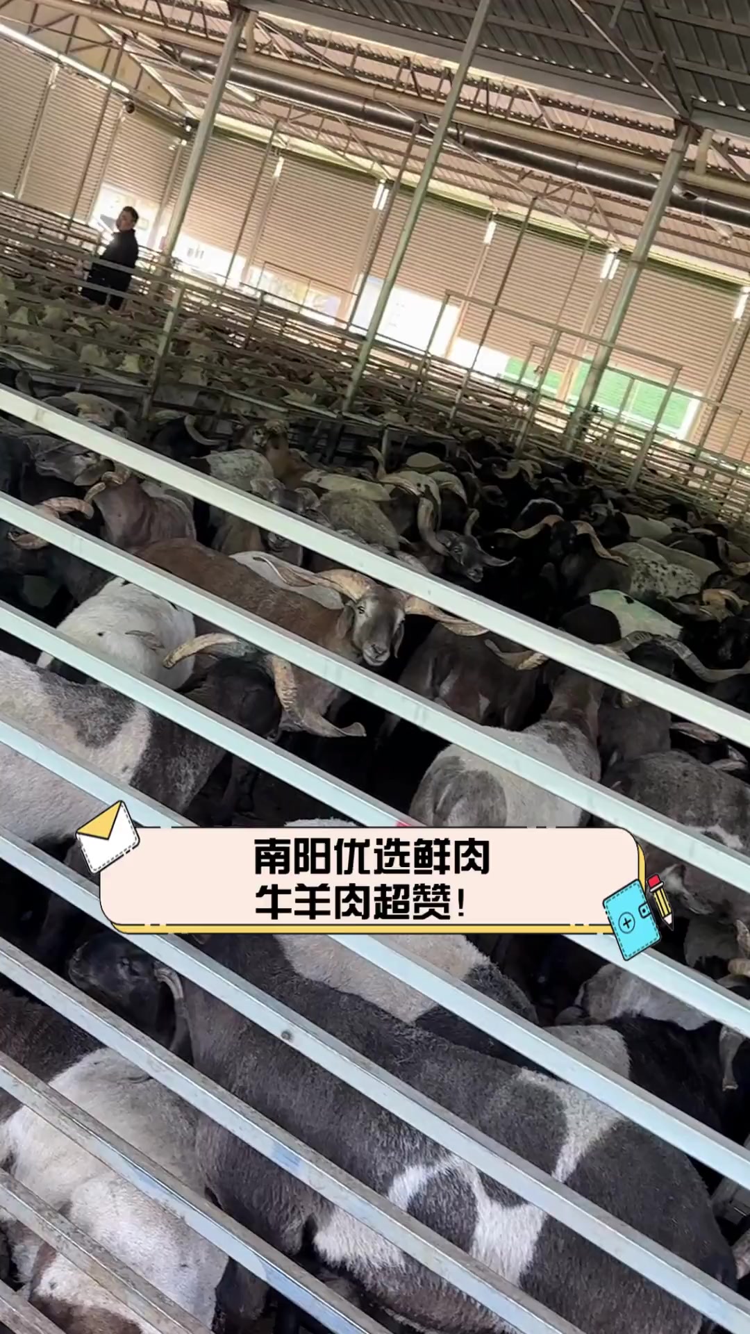 南阳优选鲜肉,牛羊肉超赞!
