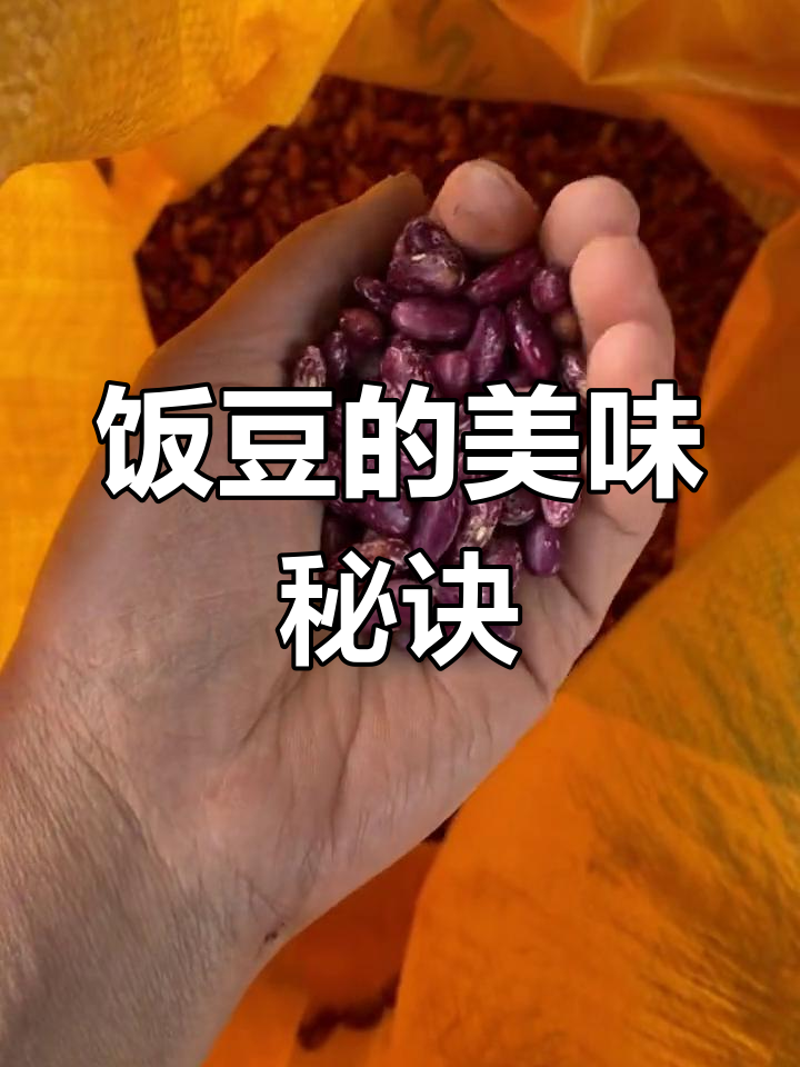 小园饭豆超赞,味道绝佳!分享几款美味做法