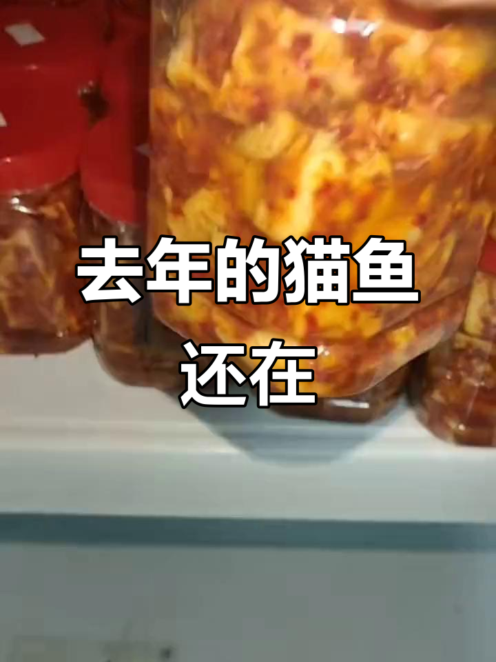 去年12月的猫鱼，竟然还能吃！赶紧拿出来嗦粉