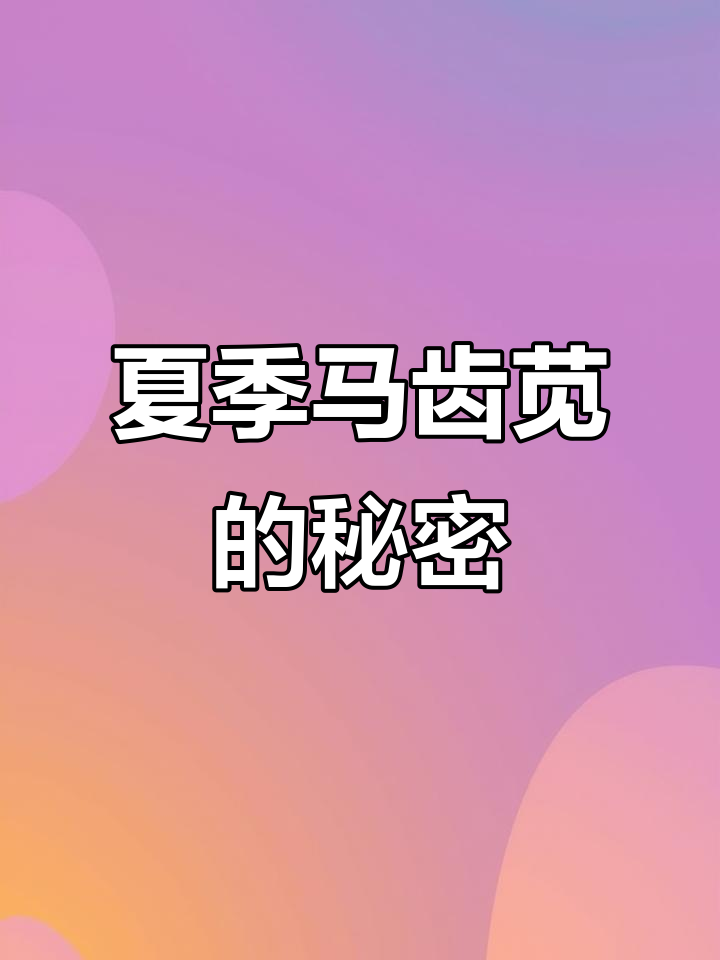 马齿苋:夏日常见野菜,竟有这么多神奇作用!