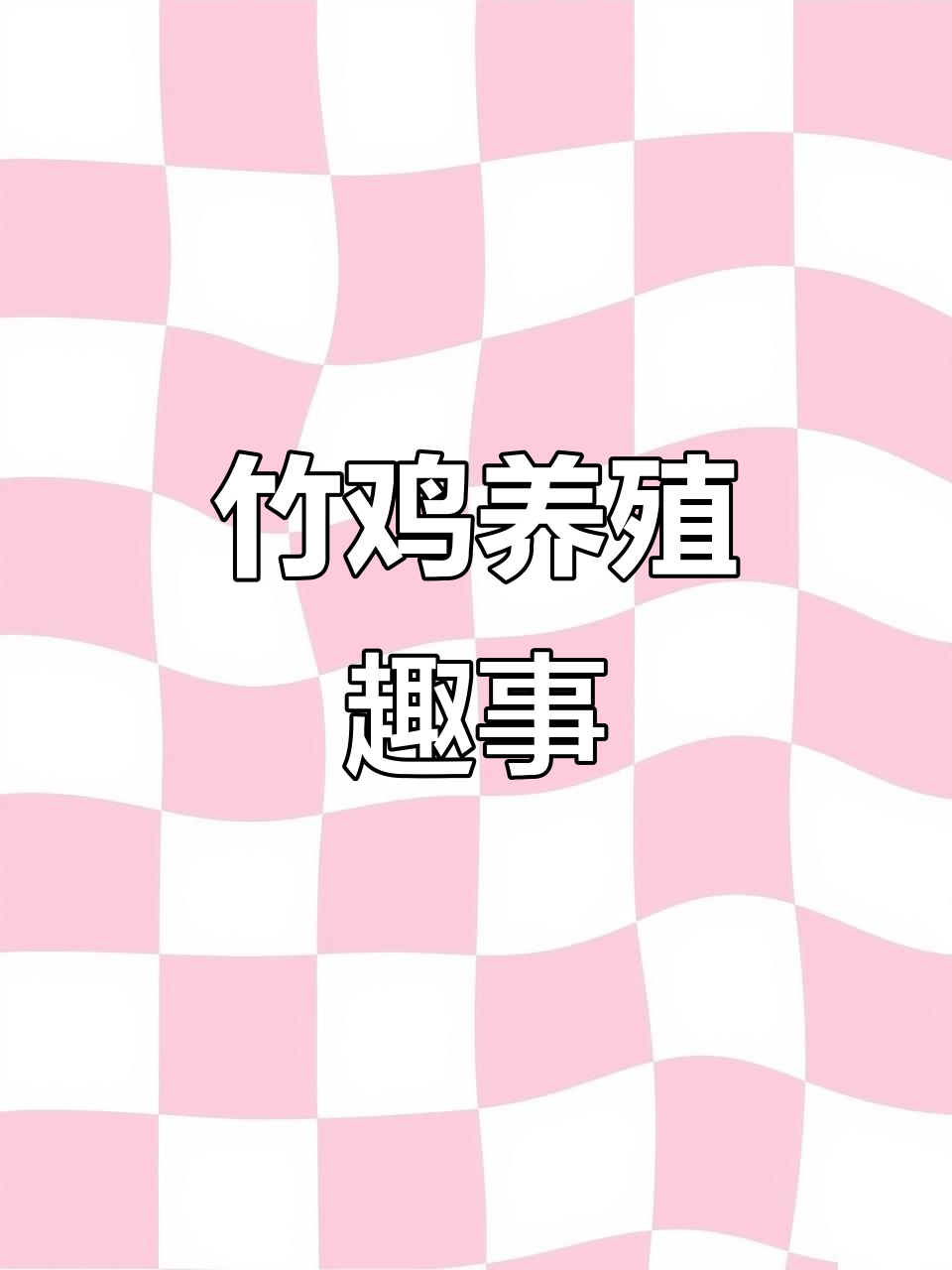 竹鸡养殖大揭秘:这些“乖”鸡太可爱了!