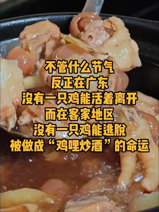 在客家地区，没有一只鸡能逃脱被做成“鸡哩炒酒”的命运