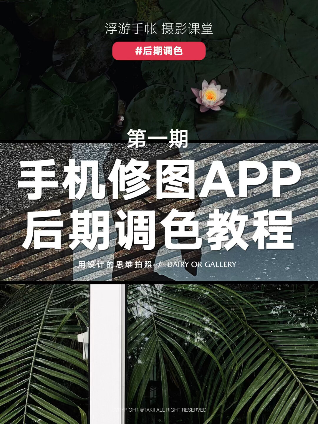 手机app修图教程|接上期拍摄的后期教程