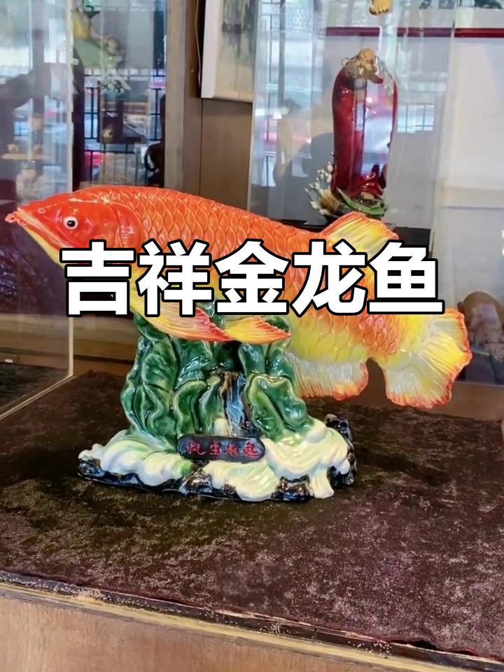 金龙鱼象征财富与吉祥,适合办公室和庆典装饰