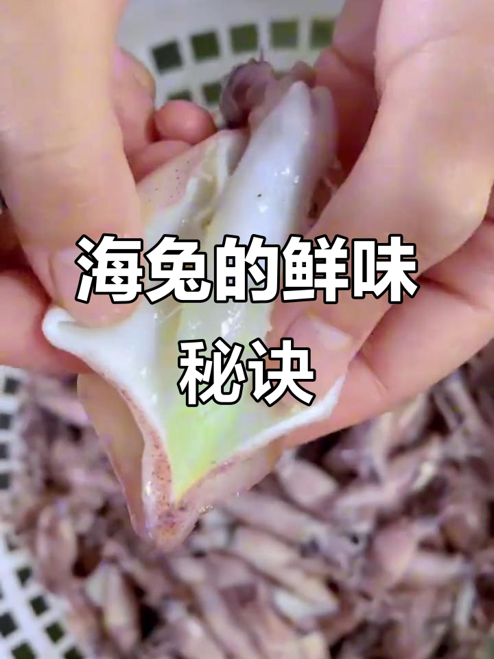 海兔鲜美无比,简单处理即可享用,孩子也爱吃!
