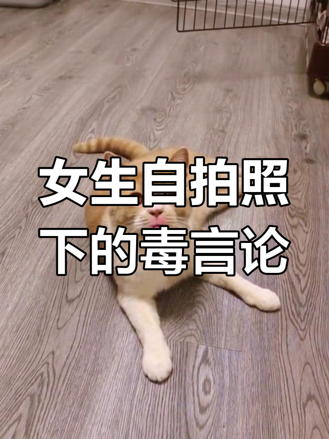 女孩子朋友圈的毒鸡汤,为了自拍什么都能说