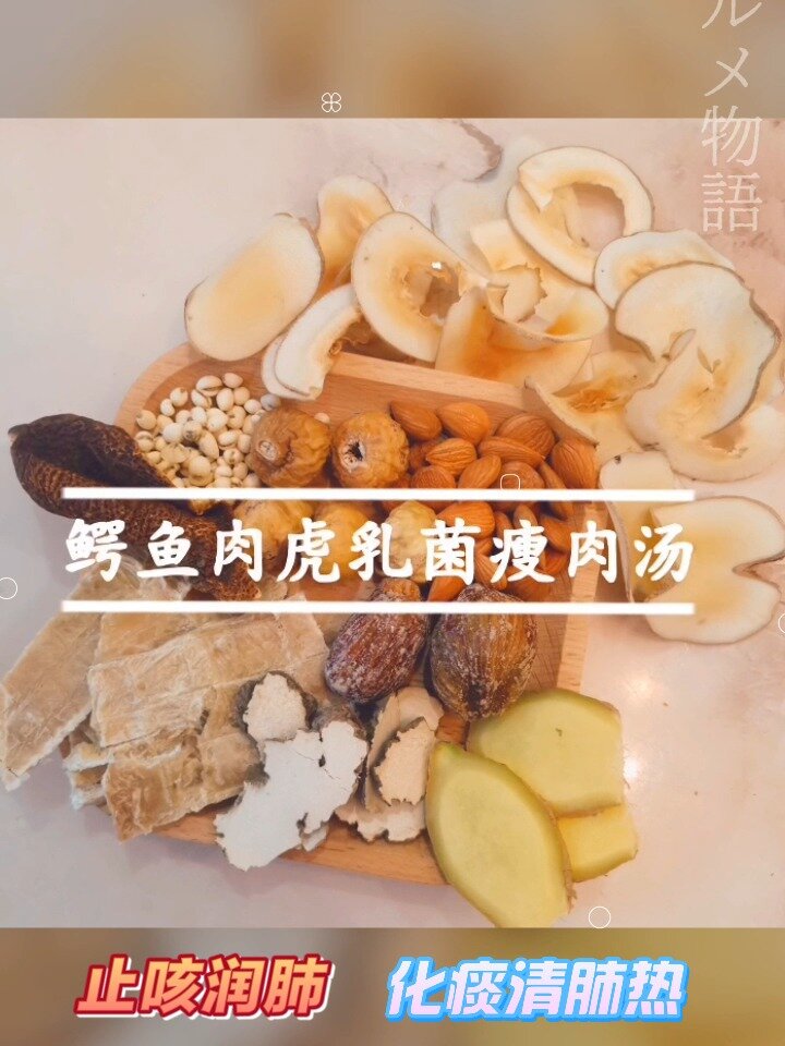 止咳润肺|广东靓汤(10)鳄鱼肉虎乳菌肉汤