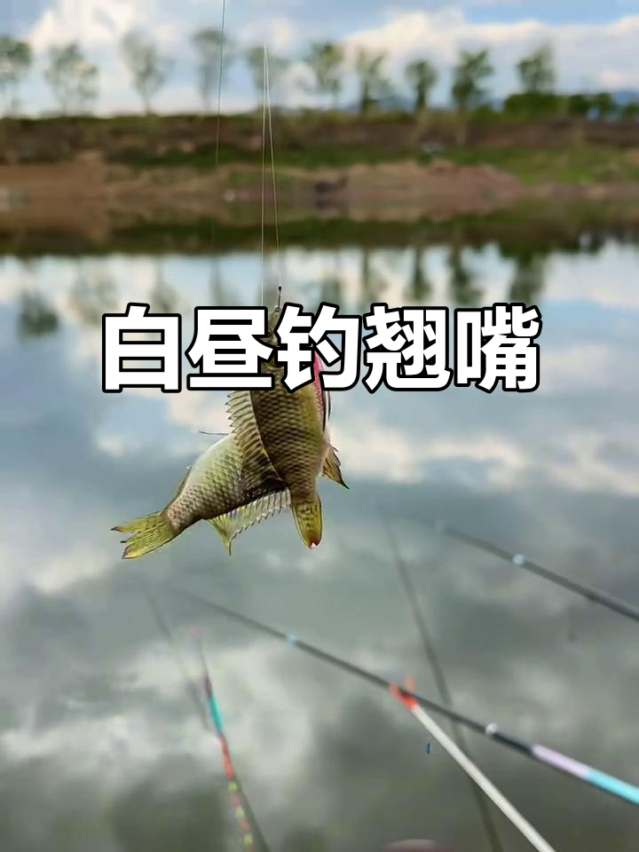白天钓鱼收获多,晚上下锅做酒菜