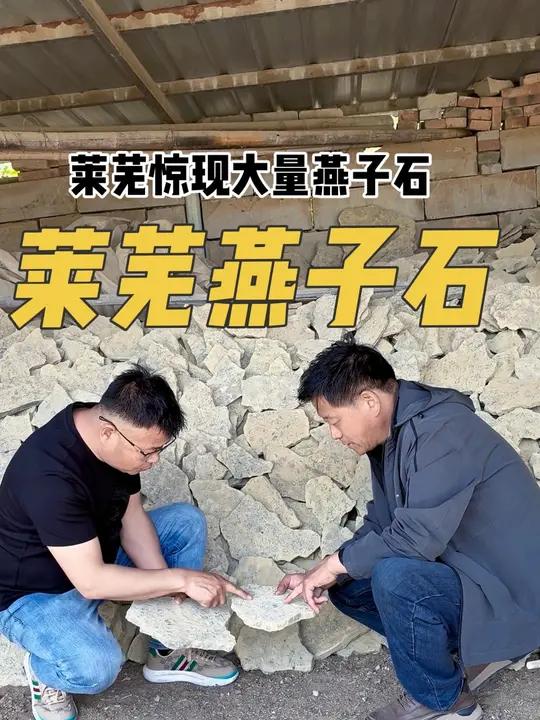 省级非遗莱芜燕子石,存量惊人
