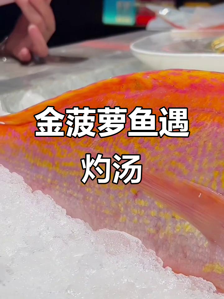 东海金菠萝鱼与过桥堂灼的完美碰撞,鲜味十足