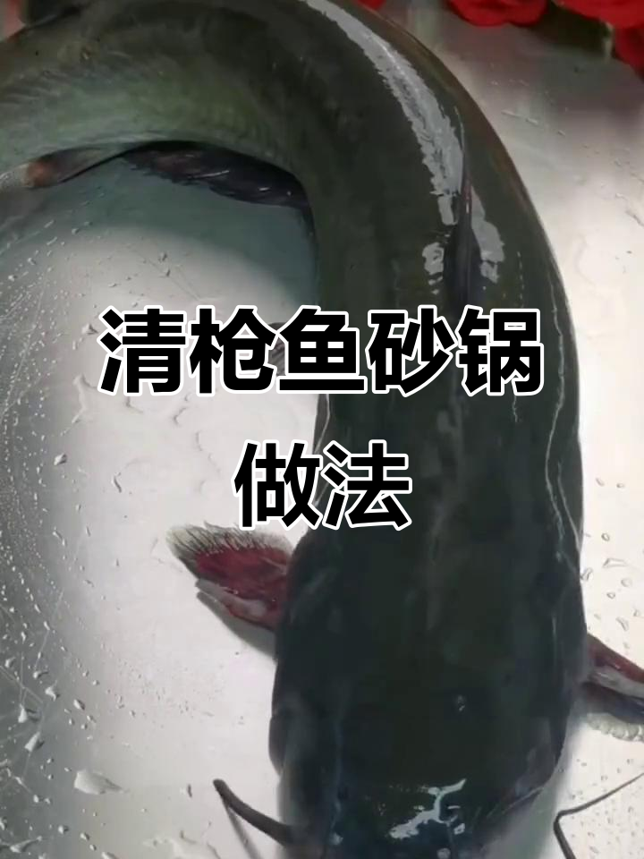 砂锅焖清枪鱼,鲜嫩无刺,配菜随意选