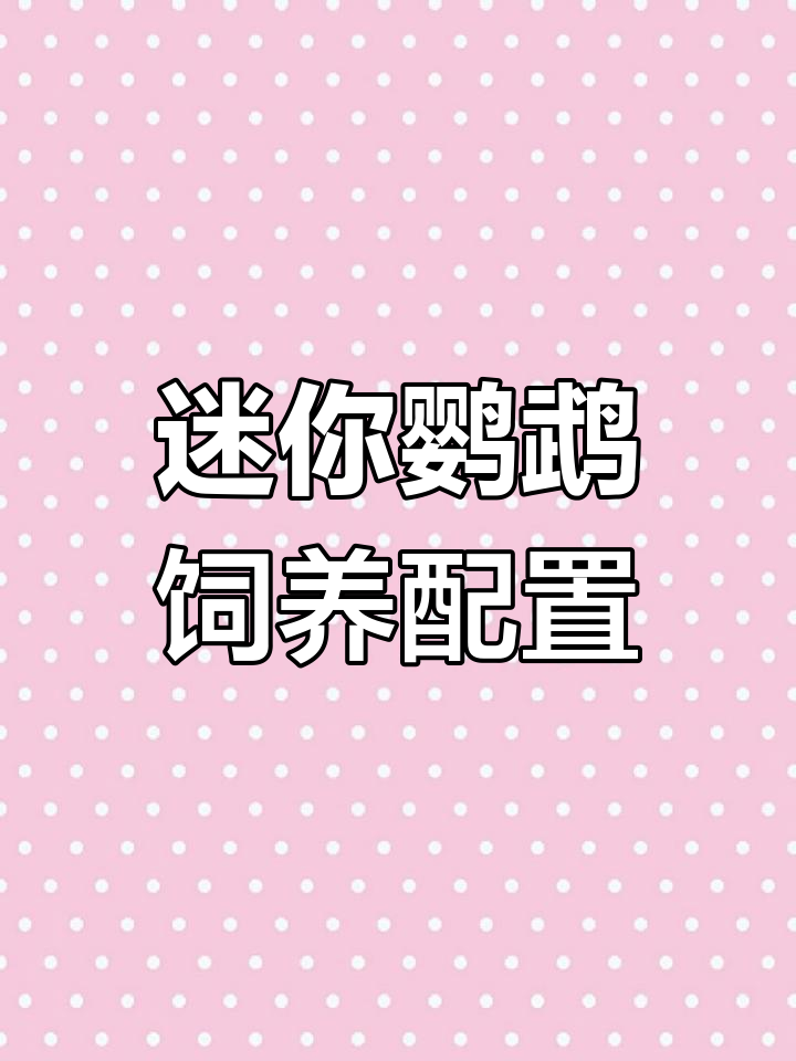 迷你鹦鹉鱼缸造景全攻略