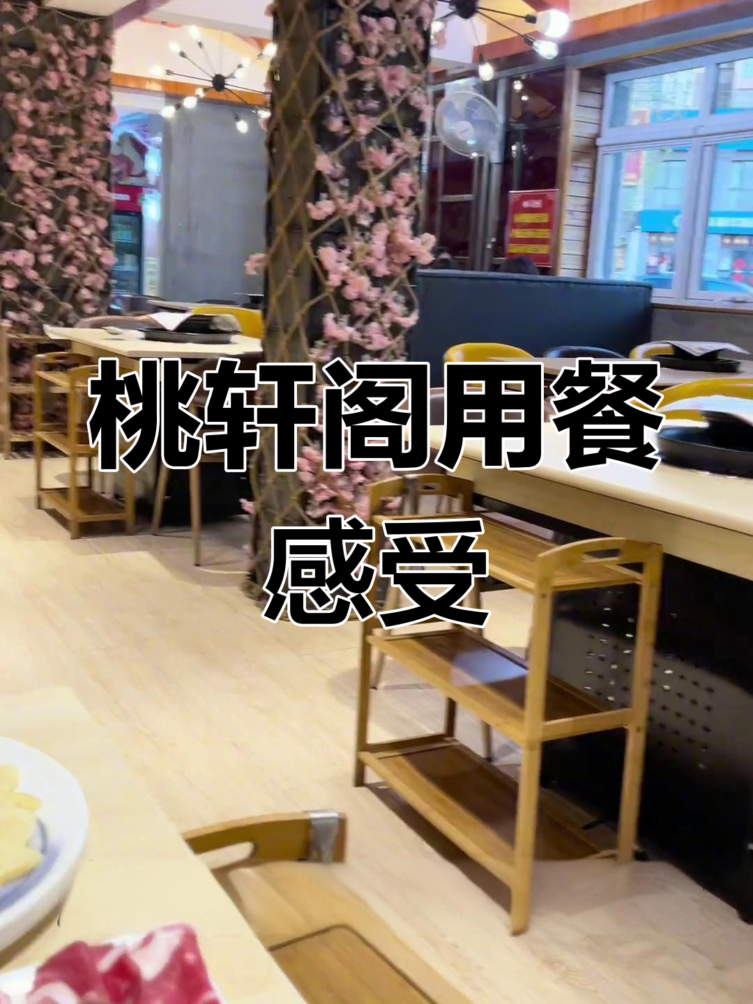 桃轩阁火锅烤肉体验:菜品、餐具和服务全解析