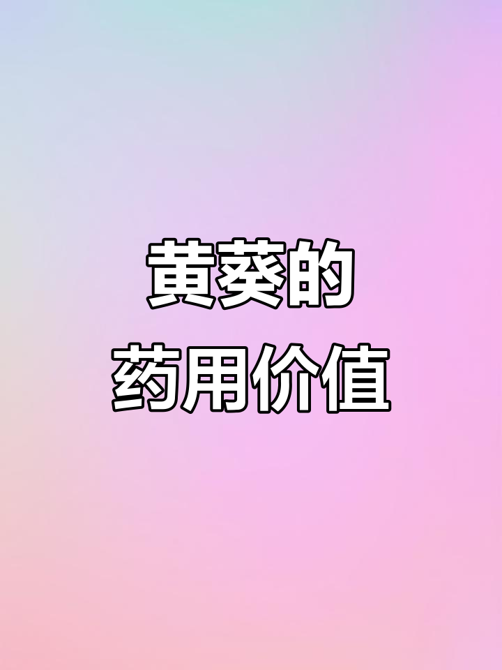黄葵:南方草本良药,清热解毒效果好