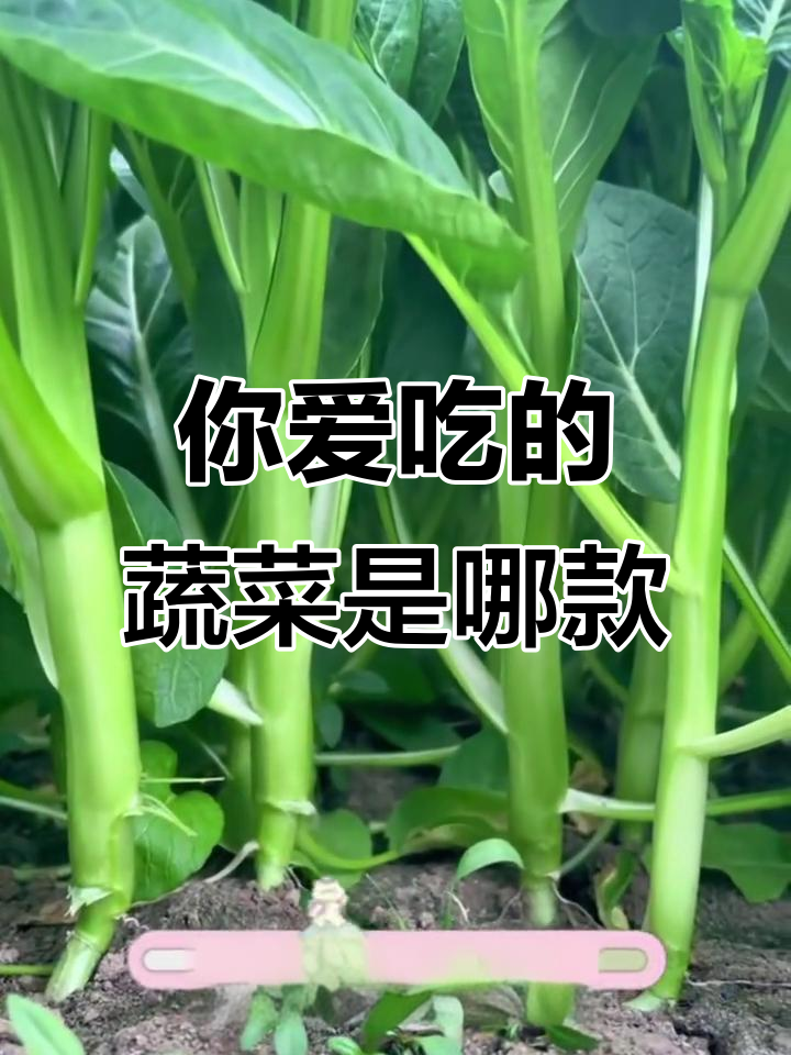 10种常见青菜,你最喜欢哪一种?