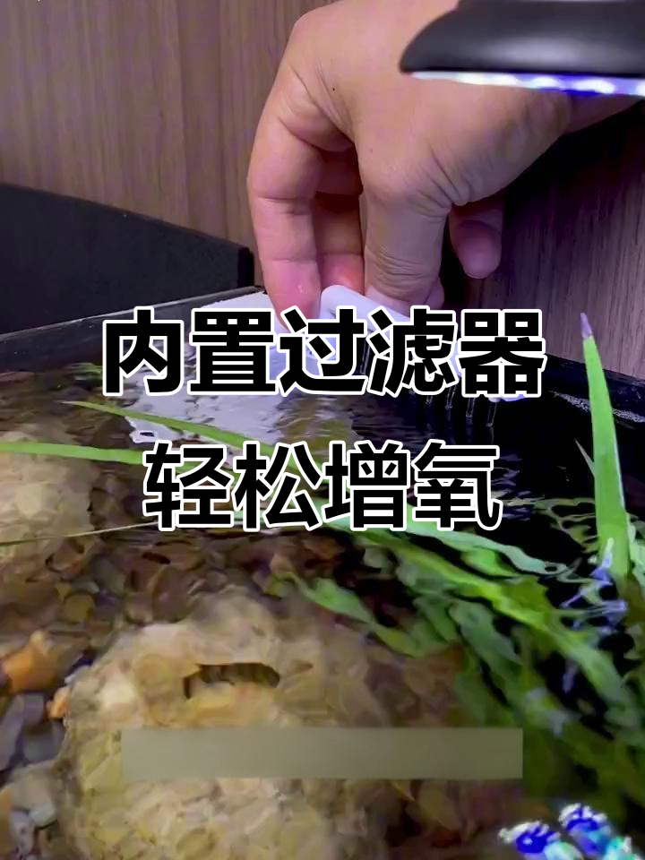 雨淋过滤流水器,让封闭鱼缸更清新