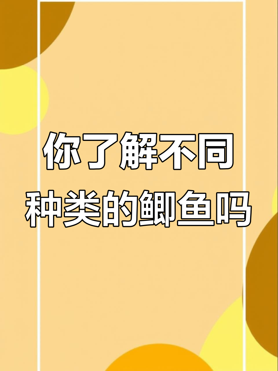 鲫鱼品种大揭秘:土鲫、工程鲫和云鲫,哪种最适合你?