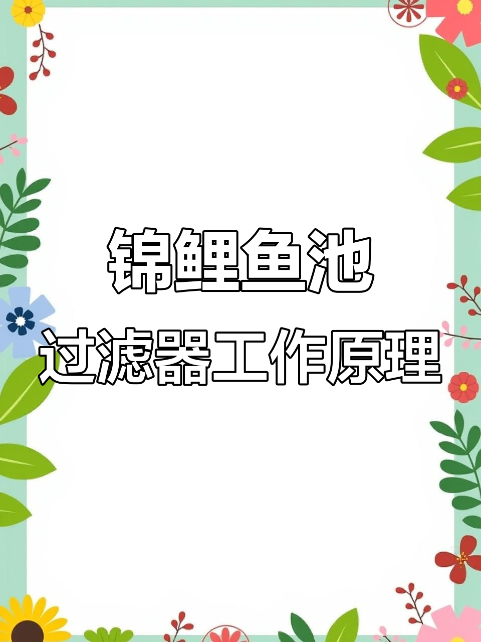 锦鲤鱼池过滤系统全解析:从沉淀到清水循环