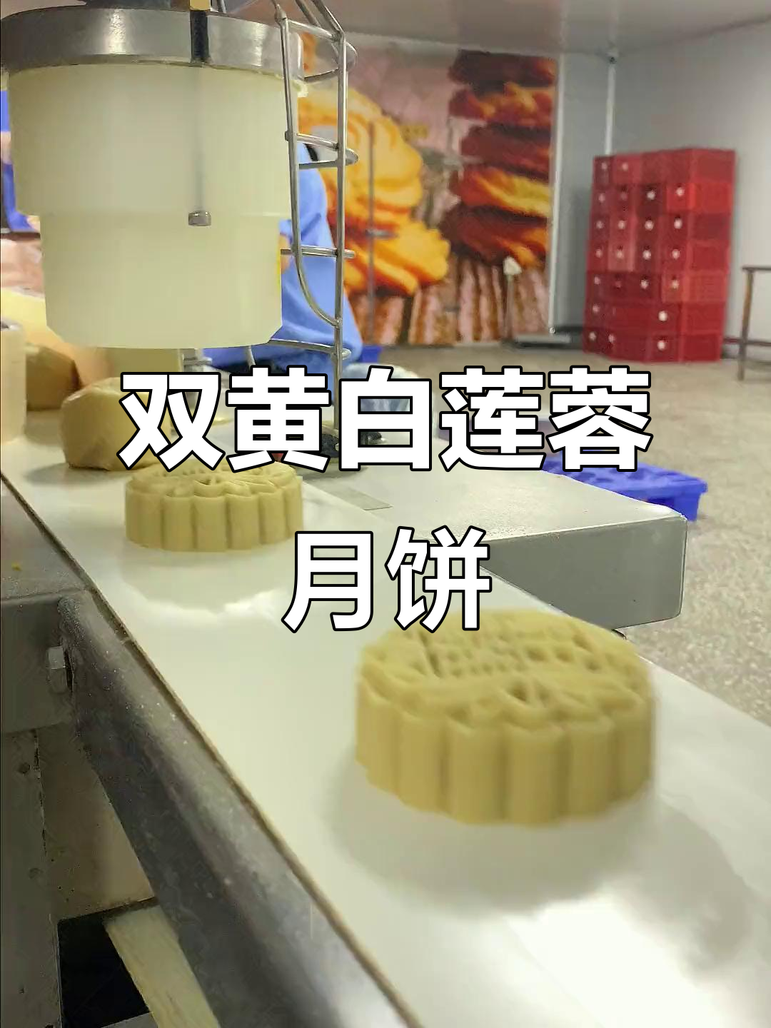 广州朋友推荐!双黄白莲蓉月饼,细腻清香让人怀念中秋味