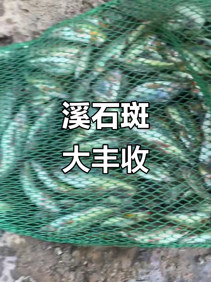 溪流钓之旅,远路也值得!