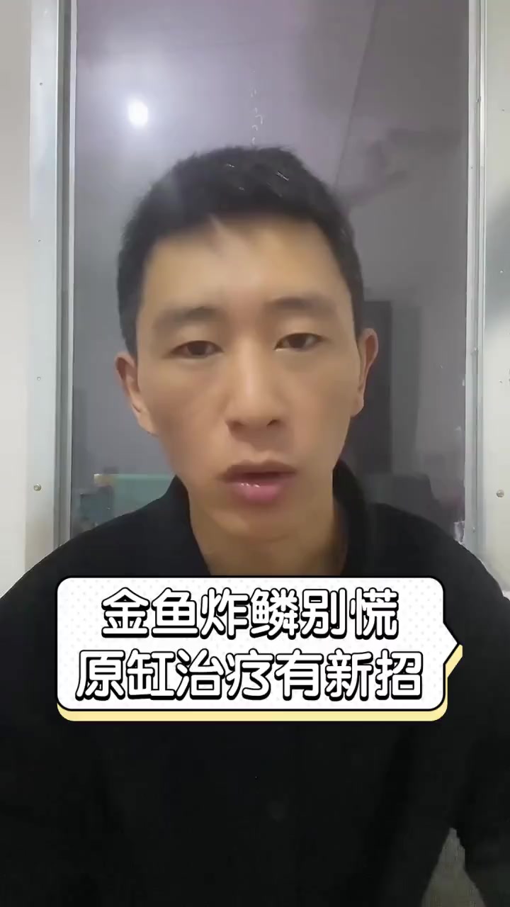 金鱼炸鳞别慌,原缸治疗有新招