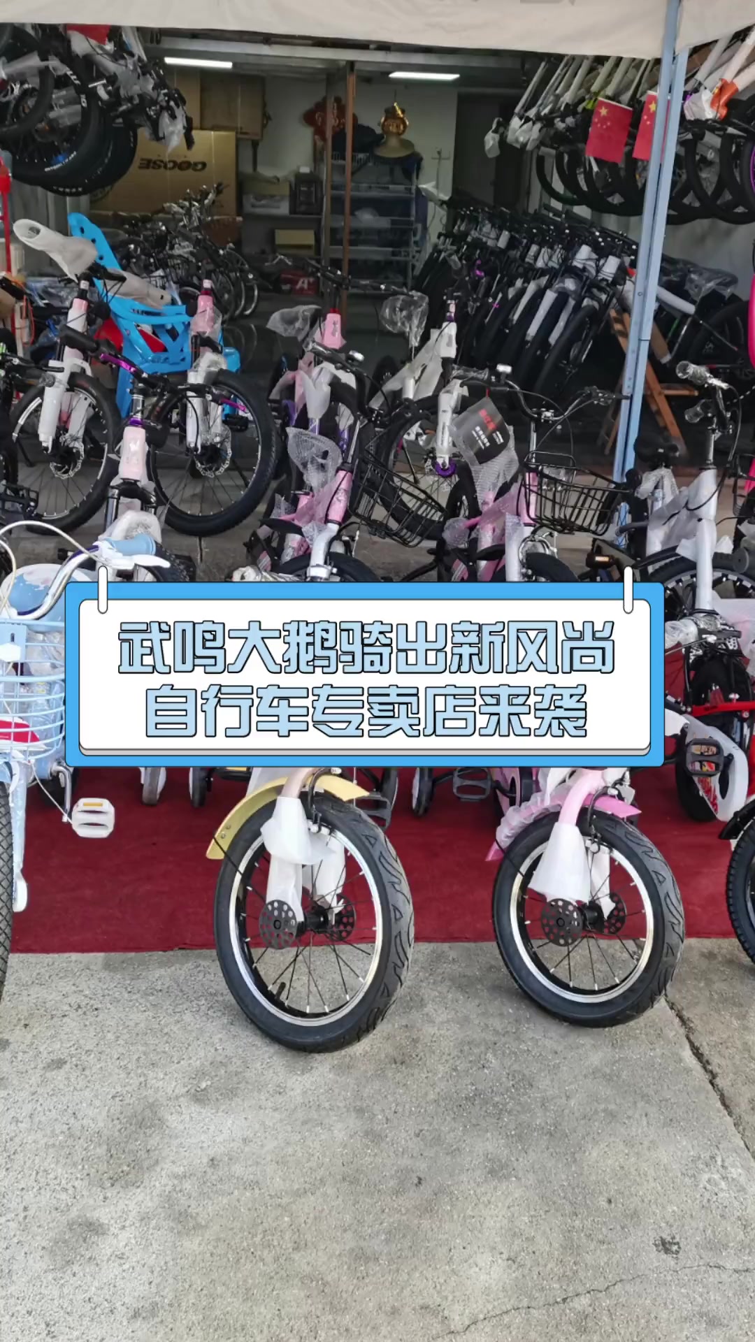 武鸣大鹅骑出新风尚,自行车专卖店来袭