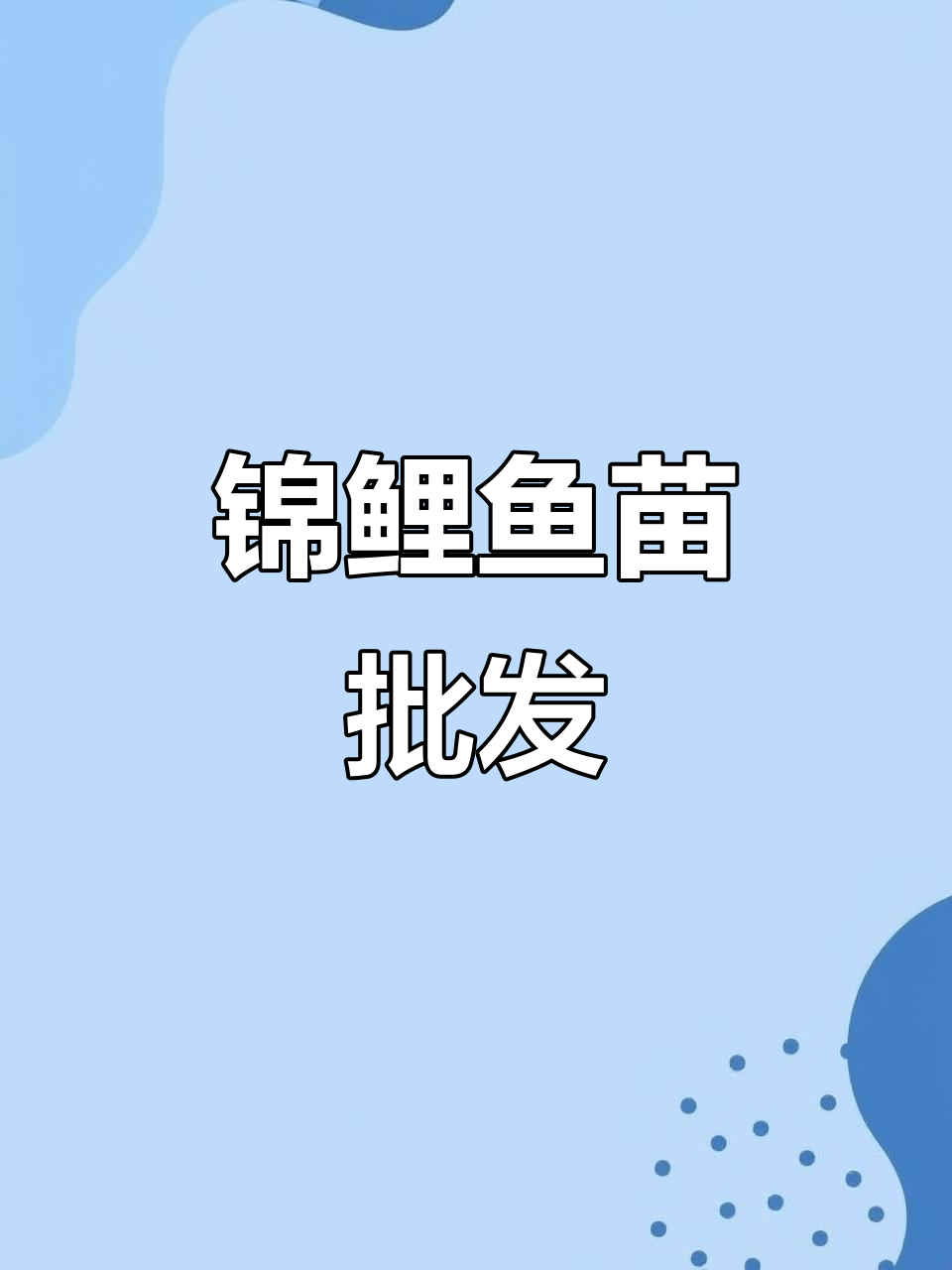 优质锦鲤鱼苗,批发供应,各地均有分场