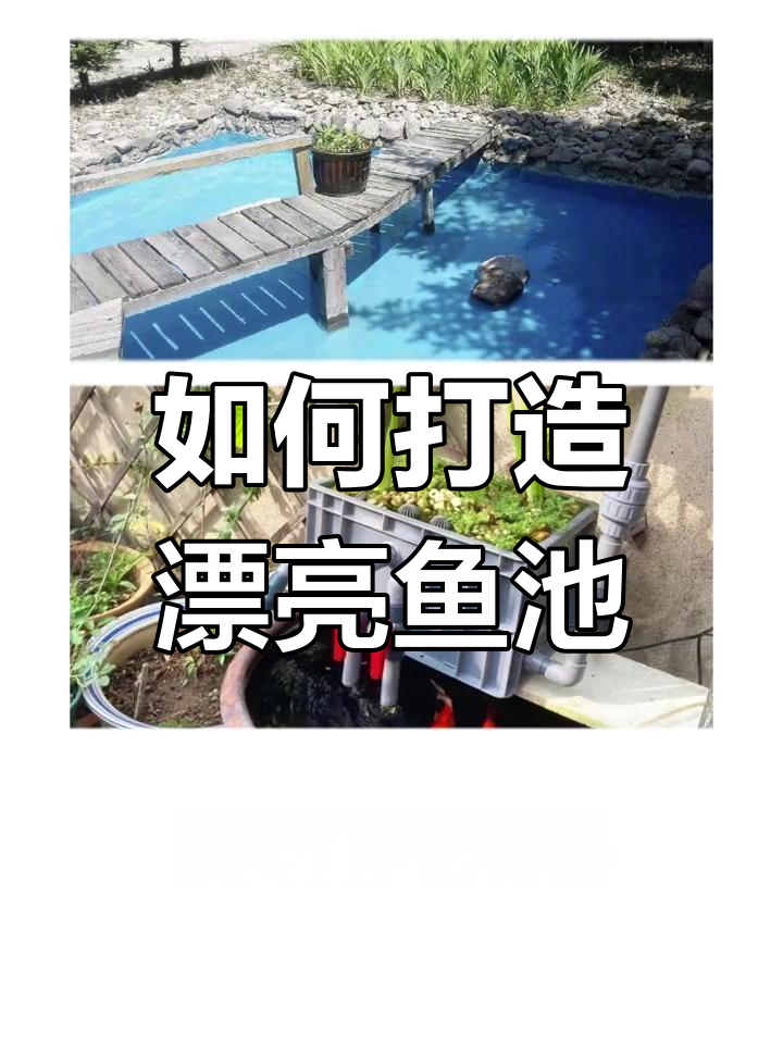 庭院鱼池建造全攻略:防水与过滤系统的重要性
