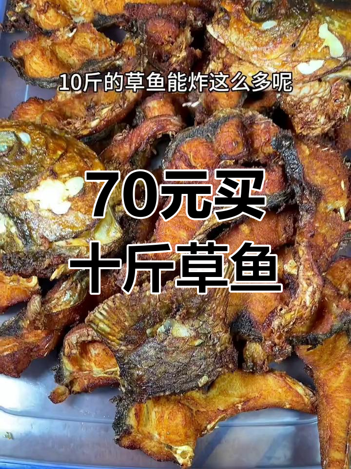 过年炸鱼,草鱼的完美做法