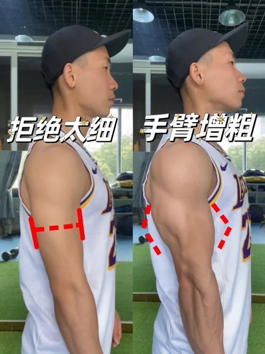 「拒绝太细」居家一对哑铃练粗手臂