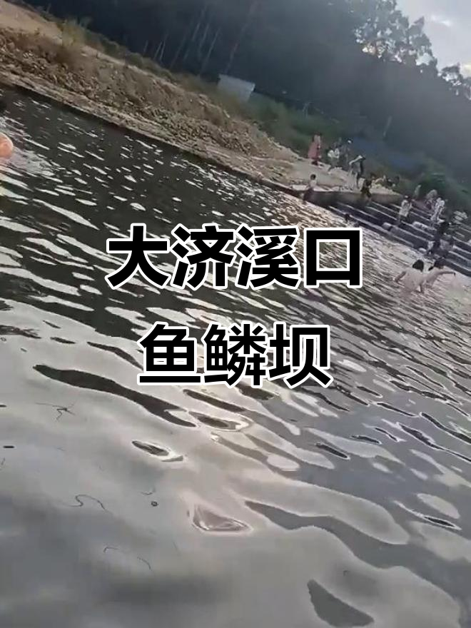 国庆假期网红打卡地,大济溪口鱼鳞坝:免费玩水、天然游泳池