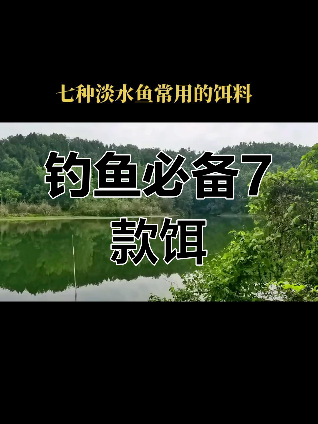 七种淡水鱼常用饵料推荐