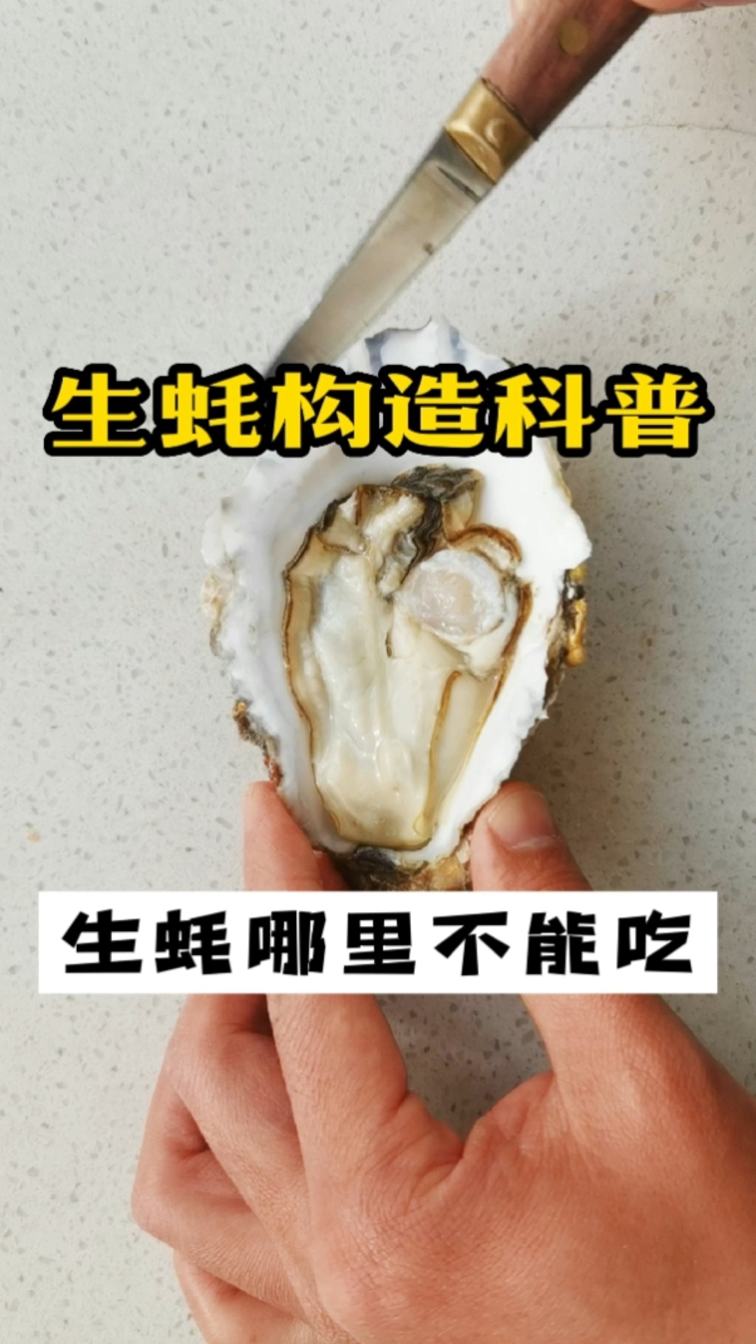 生蚝构造科普|生蚝哪里不能吃?生蚝小知识