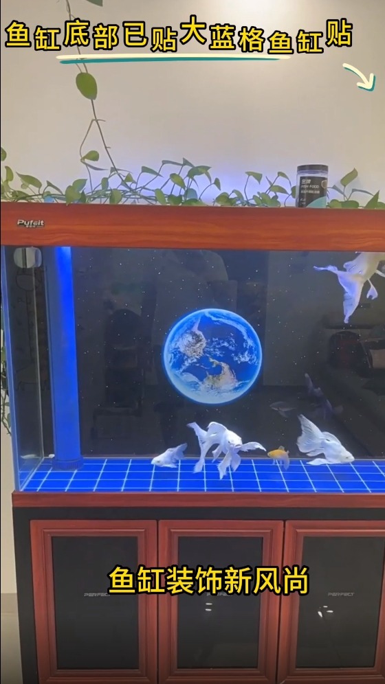 鱼缸背景贴纸画高清图3d立体壁纸造景水族箱背景纸壁画装饰底板