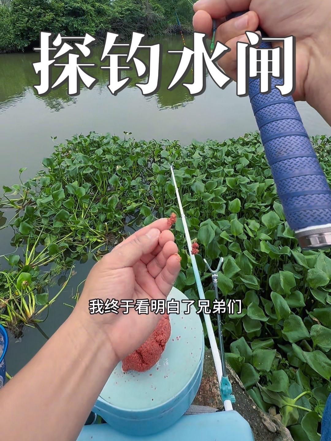 路过的漂亮小水闸,鱼情很好杆杆有口,但是高兴不起来 钓鱼 钓鱼的乐趣只有钓鱼人懂 光威鱼竿