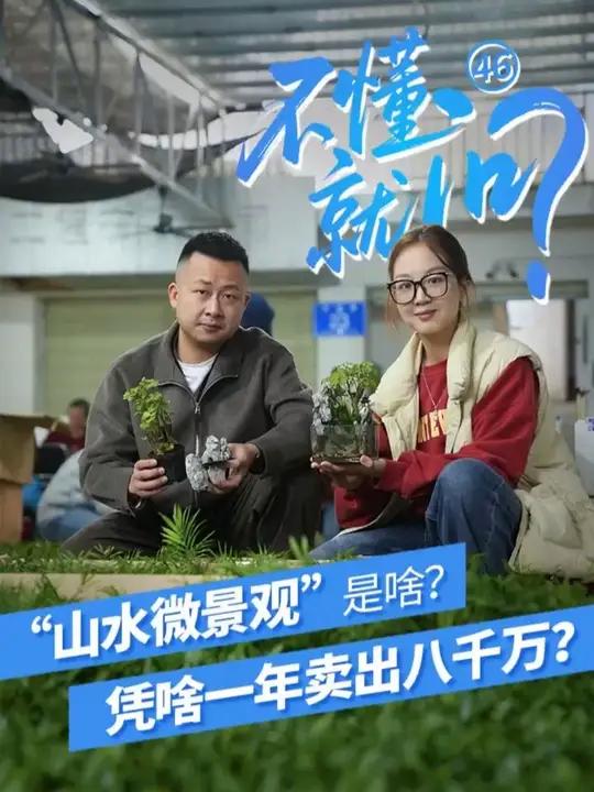 “山水微景观”是门什么生意?凭啥一年卖出八千万?丨不懂就问——经济热点一线探访