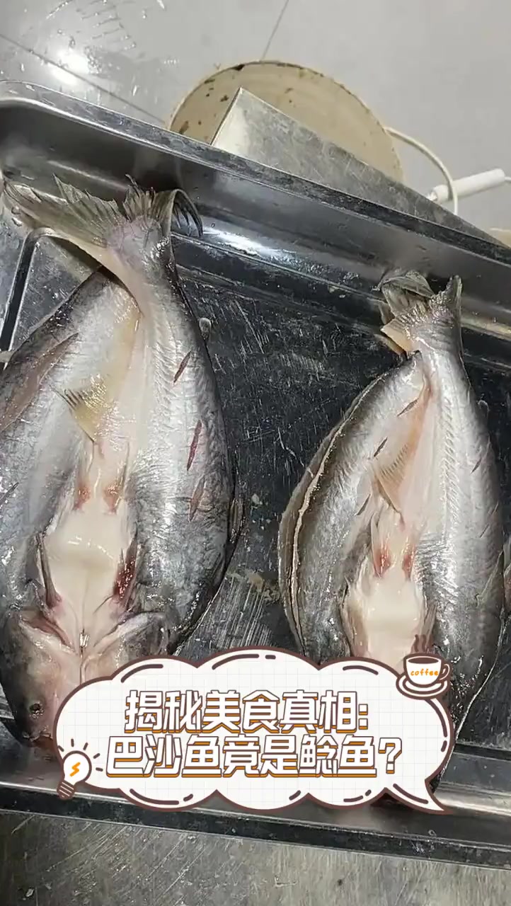 揭秘美食真相:巴沙鱼竟是鲶鱼?