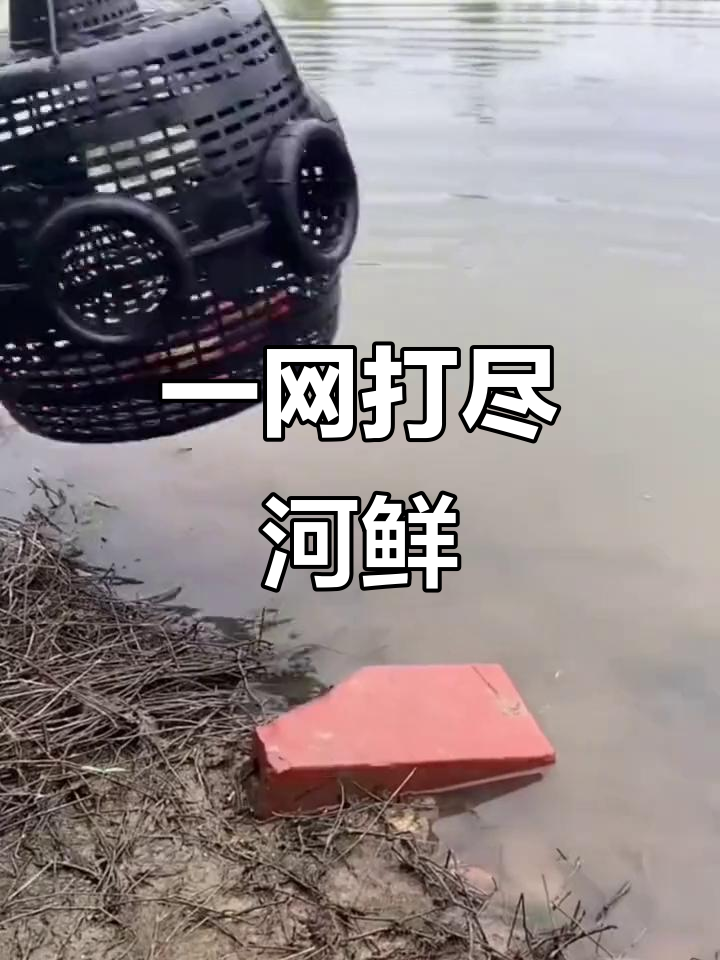 捕鱼虾笼轻松捞,大鱼王八等你拿