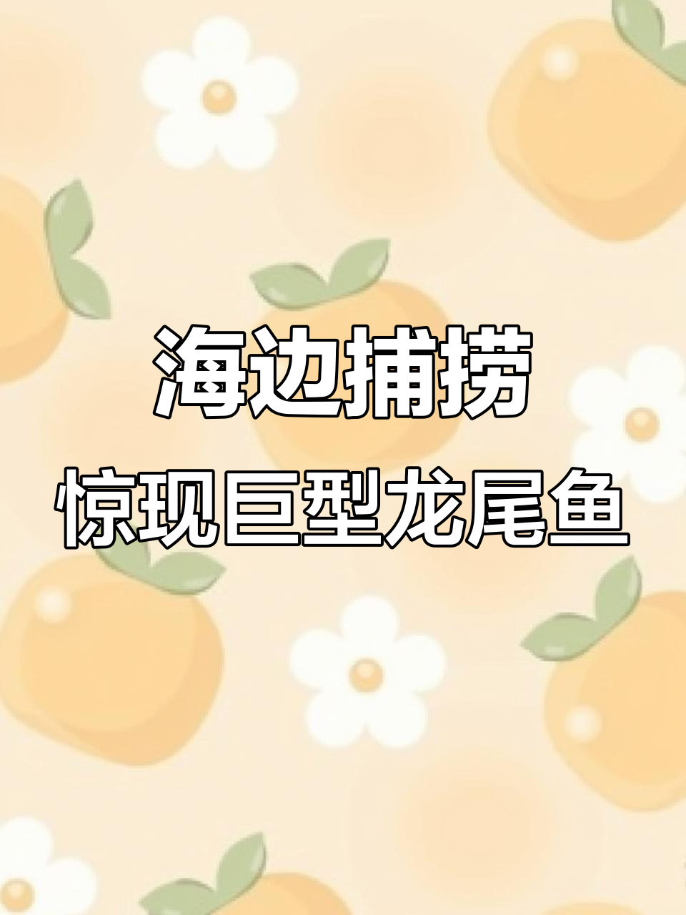 赶海抓龙尾鱼,意外发现大宝贝!