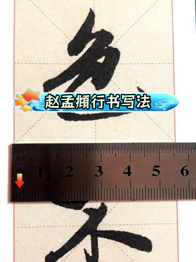 赵孟行书《心经》字帖,初学必备放大版