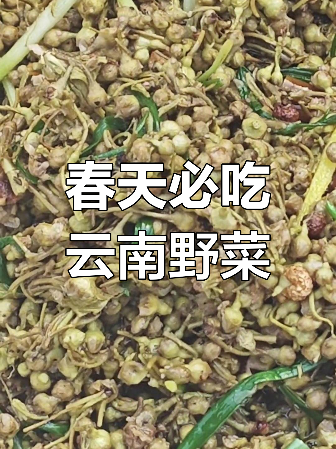 春天的第一道野菜,你尝过吗?云南特色美味等你来探